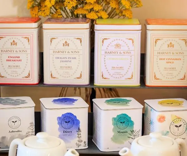 Flor Saint-Florent (Corsica)