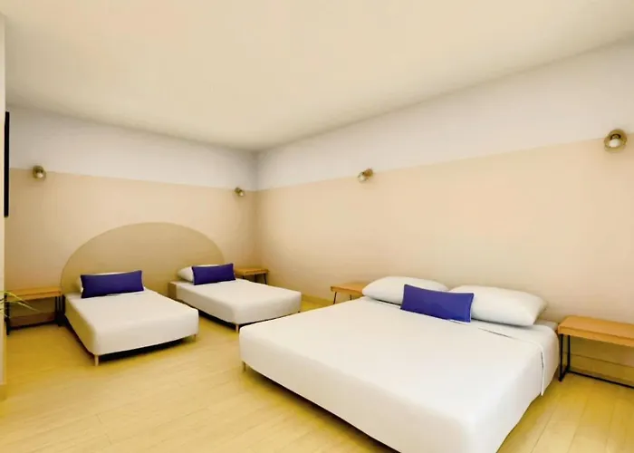 Flor Saint-Florent (Corsica)